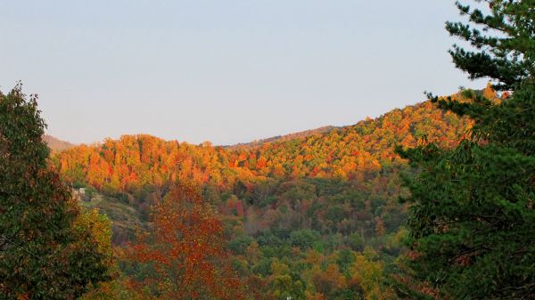 Fallscape.jpg © Lake Hickory Realty, LLC