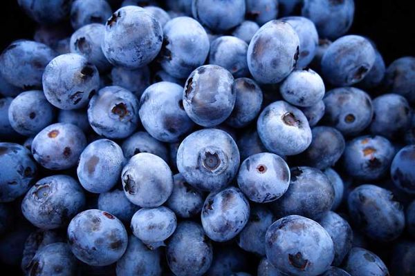 Blueberry