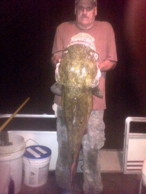 HugeCatfish.jpg © Lake Hickory Realty, LLC