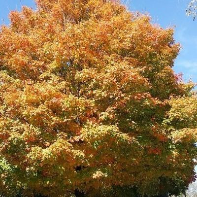 20141028_132145.jpg