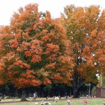 20141029_125323.jpg