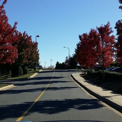 20141107_145253.jpg