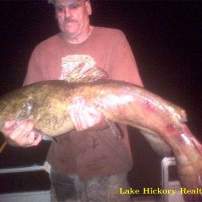 catfish.jpg